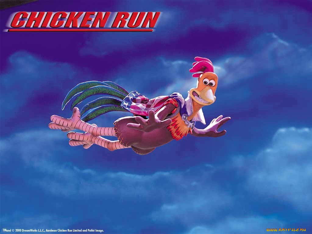 , chicken, run
